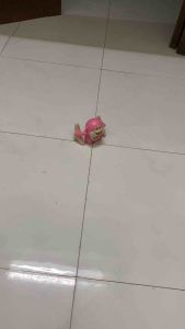 Đồ chơi chú khỉ nhào lộn điều khiển bằng âm thanh