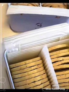 Tai Yang Jia太阳家宠物草本果蔬低温烘焙饼干 西兰花山楂不老莓香菇欧芹口味 宠物饼干 天然营养高蛋白狗狗零食 6种口味 Pet Herbal Fruit Veggie Biscuit Dog Treats Pet Biscuits