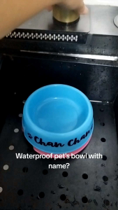Pets Small Plastic Food Bowl (Cats and Dogs) with Name Customized Personalized