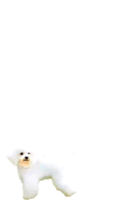 OPets Dog Natural Balanced Organic Wet Dog Food for All Stages 100g(pouch) and 430g(Can)