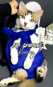 TAS GENDONG KUCING ANJING MODEL RANSEL UKURAN ALLSIZE - PICT#6