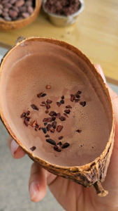 เปลือกโกโก้แห้ง Dry cacao pod