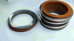 Mechanical Seal 55mm x75 MG1 SIC Viton: A Comprehensive Guide
