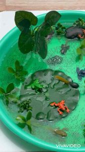 Frog life cycle Sensory play วงจรจีวิตกบ วงจรชีวิตสัตว์