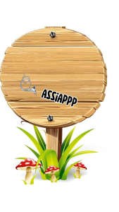 Cincin Manik & Aksesori Wanita Modern