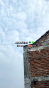 Bulu merak imitasi warna cantik premium per-1pcs