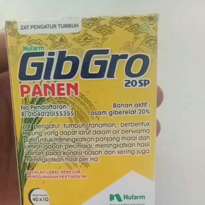 ZPT Gibro panen zat pengatur tumbuh tanaman
