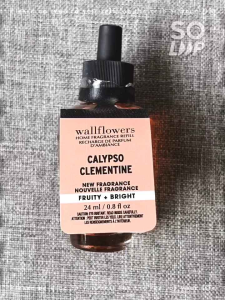 น้ำหอมปรับอากาศ รีฟิล Wallflower Refill 24mL (Set II)