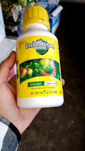 DHARMASAN 600 EC 500 ml Insektisida Pengendali Hama Pada Tanaman