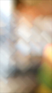 LEM Pulut Burung Super Premium 50gram Getah Bendo Asli | Sahabstore99