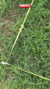 Spray Cairan Pembasmi Rumput Liar | Ilalang | Gulma | Lumut | Jamur | 1×24jam Mati Total | 100% Super  Ampuh | Isi 450ml