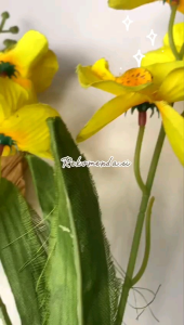 sepatu wanita papirut kulit sapi warna hitam garut