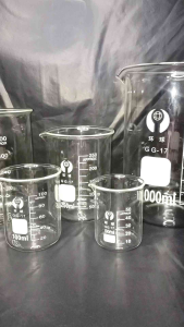 Glass Beakers