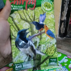 chirpy hijau dan coklat makanan burung kicauan varian rumput laut kemasan 400gram