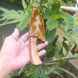 Pisau Ikan Taiwan Daging Baja Per Kayu Super 10 cm