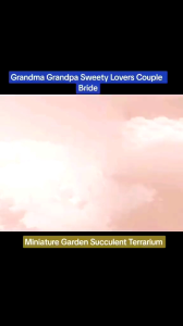 ( 1 Set ) Miniature Garden Succulent Terrarium Chair Grandma Grandpa Sweety Lovers Couple Bride and Groom Miniatures Figurines Fairy Garden Decoration