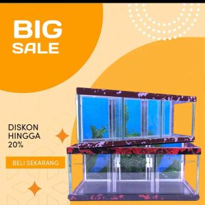 Aquarium ikan cupang dengan sekat 3