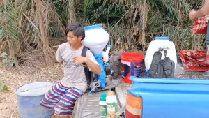 กิ่งแก้วส1 กิ่งทอง ขยายรากกระชากรวง ฉีดเช้าใหญ่ยาวเย็น อธิบายสินค้า ช่วยเปิดปากราก เปิดปากใบของพืช ช่วยสร้างภูมิต้านทานโรค และแมลง พืชสามารถกินอาหารได้ตลอด24ชม. ช่วยเพิ่มความเขียวสด ให้ลำต้นแข็งแรง ลดการหลุดล่วงของผลและดอก ช่วยเร่งการเจริญเติบโต เ