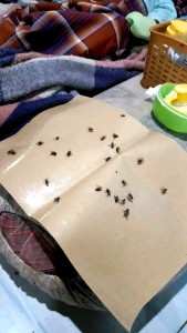 lem lalat perekat ampuh bisa glosir dan ecer