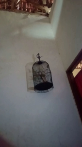 Multivitamin & Suplemen Peningkat Stamina Olahraga