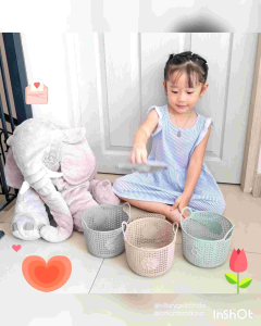 Keranjang Serbaguna Terumi 1.8 (1pc)