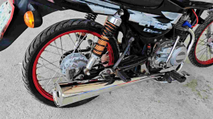 Stainless Chicken Pipe for Bajaj CT 100