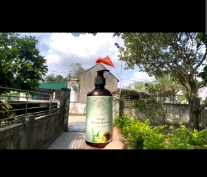 DẦU GỘI THẢO DƯỢC MỘC ĐỒNG TỪ CÂY THIÊN NHIÊN GIÚP TÓC CHẮC KHỎE MỌC ĐỀU