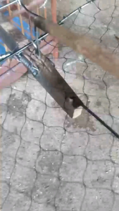 กับดักนกแบบแขวนที่รังเพนียบดักนก(โปร3อันราคา485บาท)สามารถแขวนข้างๆกรงนกหรือแขวนทิ้งไว้ตามต้นไม้