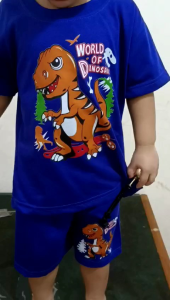 set anak laki-laki motif dino 2/9tahun