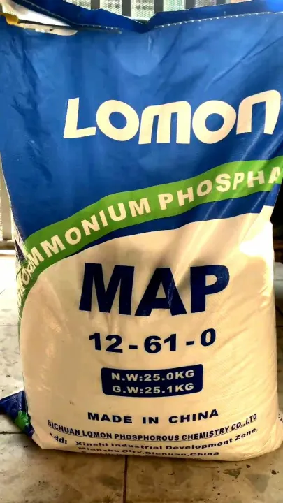 Phân bón MAP 12-61-0 Mono Amoni Phosphat mập thân mập chồi - Chuyên ra ...