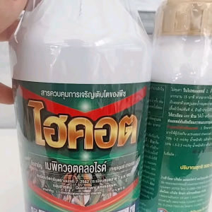 ไฮคอต เมพิควอต คลอไรด์ หยุดยอดอ่อน สารควบคุมการเจริญเติบโต ช่วยยับยั้งการแตกใบอ่อน ช่วยในการการสะสมอาหาร และกระตุ้นตาดอก