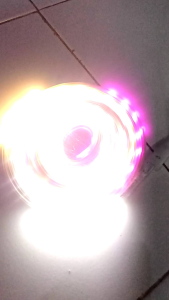 Lampu Selang RGB 10M Real / Lampu Selang Outdoor Anti Air Rainbow 10M Full Tinggal Colok Nyala Lampu 17 Agustus Lampu Rgb Kedip 8 Mode Lampu Agustusan