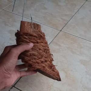 Media tanam anggrek murah