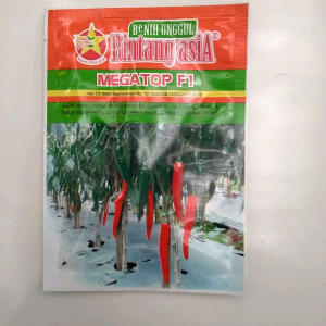 BIBIT CABAI BENIH CABE BESAR HIBRIDA MEGATOP F1 10 GRAM BINTANG ASIA UNTUK DATARAN RENDAH SAMPAI TINGGI