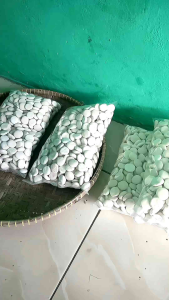 Ragi tape singkong dan ketan super manis anti gagal 1 kg/1000gram