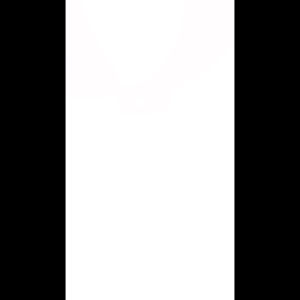 สีใหม่ล่าสุด EGO SPORT เสื้อโปโลไทยโทนทีมชาติ โลโก้ช้างศึกสีเงิน