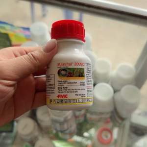 Thuốc trừ sâu - Marshal 200SC diệt trừ rệp sáp rầy nâu sâu đục thân ....