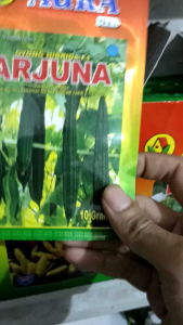 BIBIT OYONG TAHAN VIRUS ARJUNA F1 ISI 10 GRAM AURA SEED SETARA ANGGUN TAVI CAP PANAH MERAH