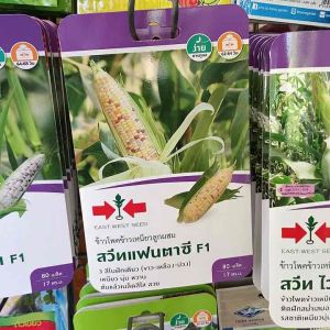 ข้าวโพด สวีทแฟนตาซีF1