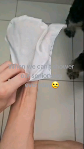 Kojima Pets Spa Gloves (6pcs)