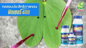 ฟิกเซอร์408 สารเสริมประสิทธิภาพ พรีเมี่ยมจากอเมริการ