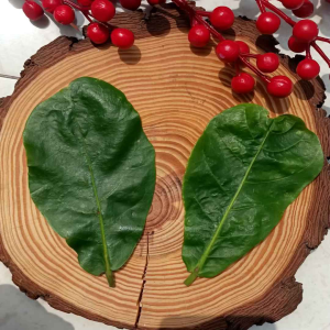 Kem chống nắng DAILY SUN Linh Hương