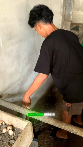 Pembersih Kandang desinfektan anti-virus BINFEKTAN PLUS untuk menetralisir virus dan bakteri di kandang ayam Mengurangi bau kotoran ayam