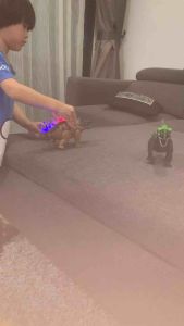 READY STOCK DINO WALKING SERIES SOUND ROAR DINOSAUR SIMULATION JURASSIC WORLD 31CM Dinosaur TOYS WITH FLASH LIGHT &SOUND WALKABLE DINO GIFT