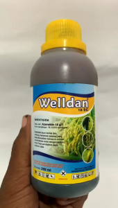 INSEKTISIDA PEMBASMI TRIPS KUTU KEBUL TUNGAU WELDAN 18 EC BAHAN AKTIF ABAMEKTIN
