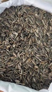 ทานตะวัน A ป้อม อาหารนก กระต่าย หนู กระต่าย กระรอก และสัตว์ฟันแทะ เมล็ดใหญ่ ป้อม สวย สะอาด เนื้อแน่น (1KG)