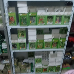 BIBIT BENIH TIMUN RUJAK HIJAU BESAR  BIG GREEN ISI 20 GRAM YOU SEED