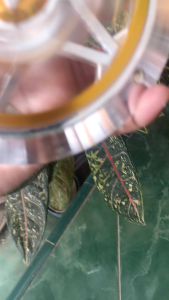 Cover Spinner Kipas Radiator Matic & Aksesoris Motor Universal