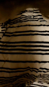 MMINIOUTLET ESPRIT women top black stripes cap sleeves 女性上衣