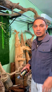 (1 botol) Jus Tongkat  Ali Bajak Original Hq .100% Rebusan Akar Kayu Hutan .